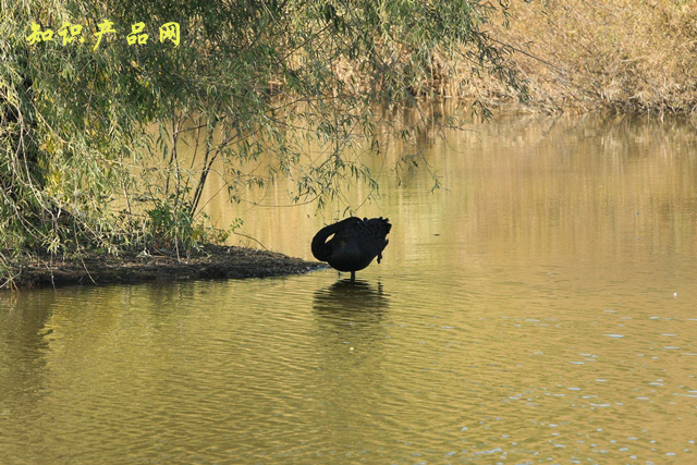 /image/order/20101026/03A63988-22C1-8E93-C2E0-D3542D85D8EC.jpg /image/order/20101026/03A63988-22C1-8E93-C2E0-D3542D85D8EC.jpg